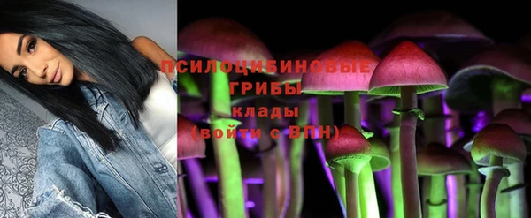 меф Тайга