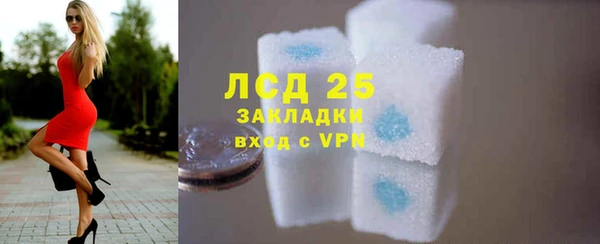 трава Сясьстрой