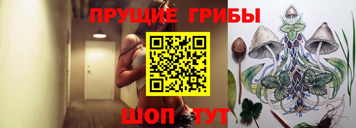 Псилоцибиновые грибы прущие грибы Верхний Уфалей